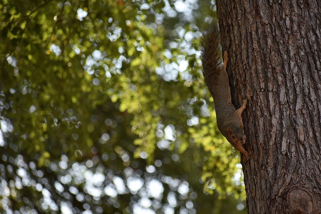 使他们一路 使他们一路