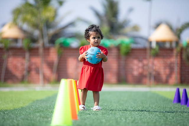 的首要目标 的首要目标