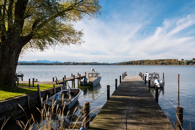 赢得了无价 赢得了无价