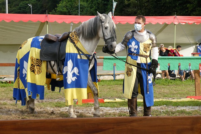 逐的不仅仅 逐的不仅仅