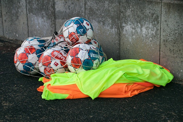 支持其正统 支持其正统