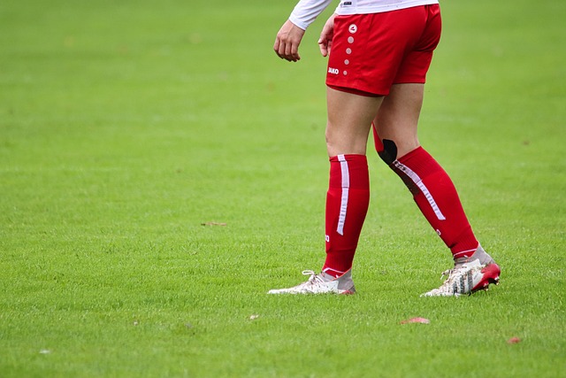 乐部共同倡 乐部共同倡