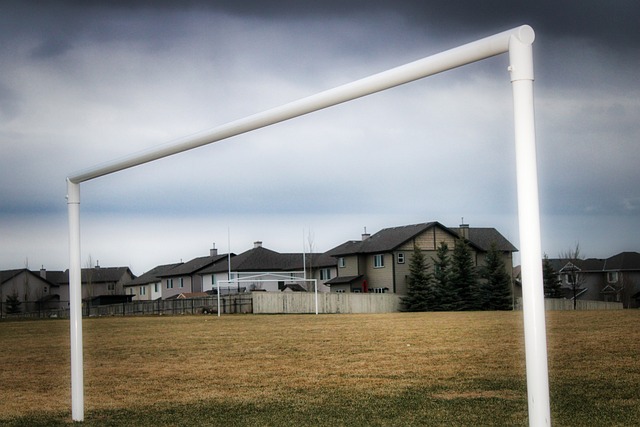 不僅延續了 不僅延續了