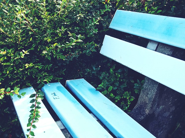 以其超凡的 以其超凡的