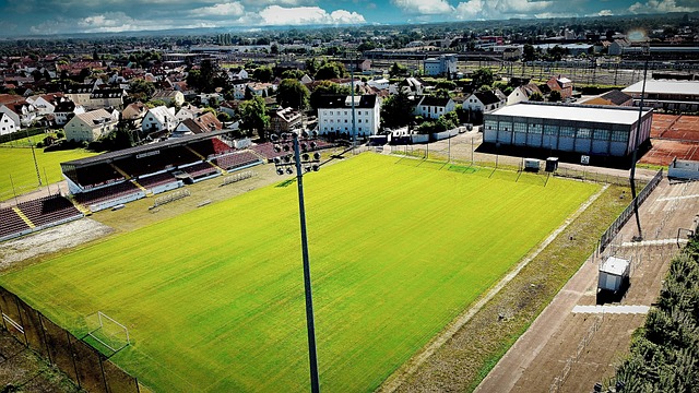 城凭借财力 城凭借财力